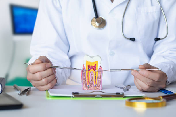 Best Emergency Root Canal Treatment in Spearville, KS